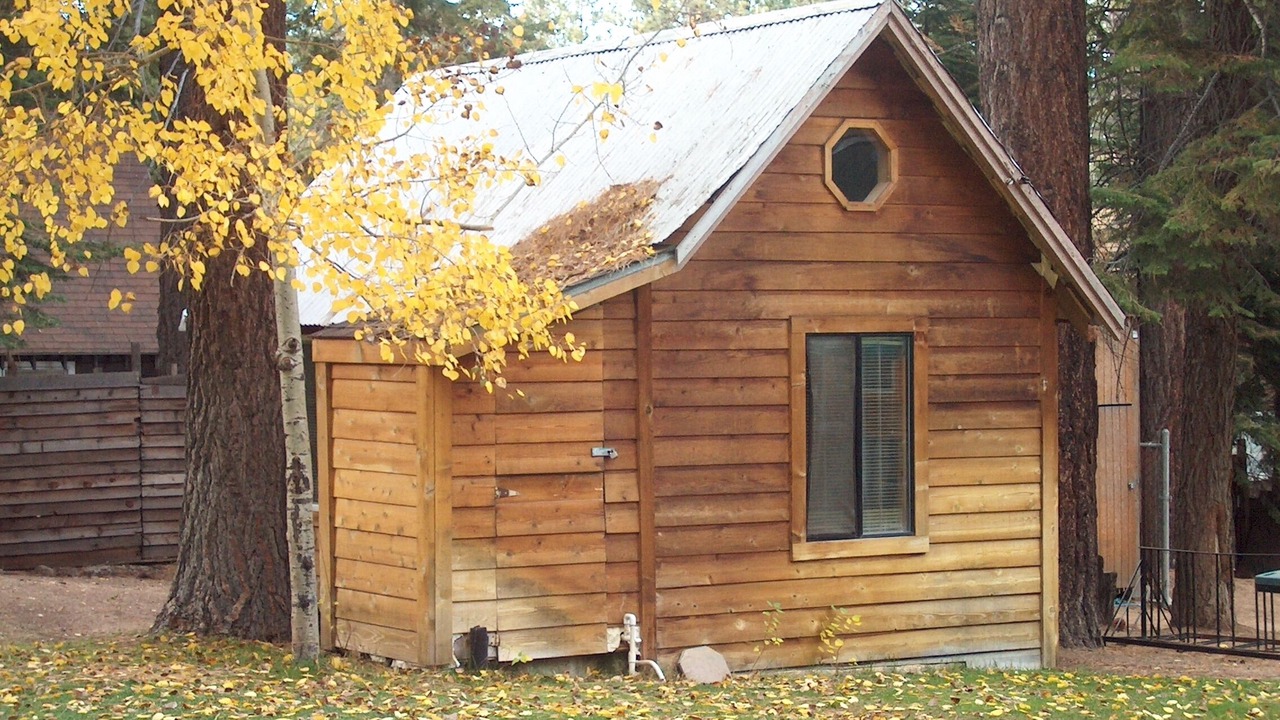 Photo of Outdoor in Y Area