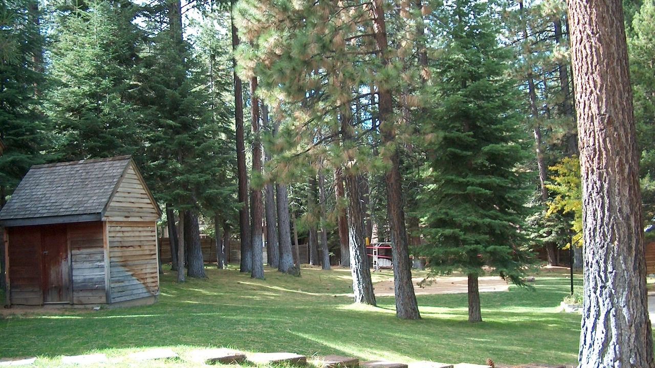 Photo of Outdoor in Y Area