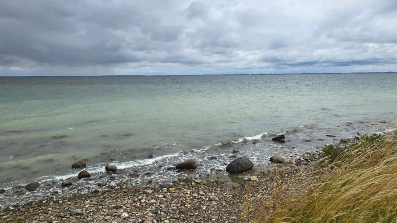 Photo of Others in Reersø