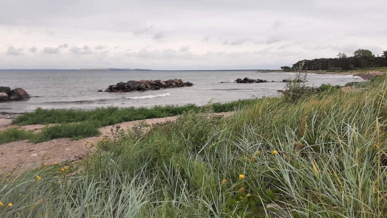 Photo of Others in Reersø