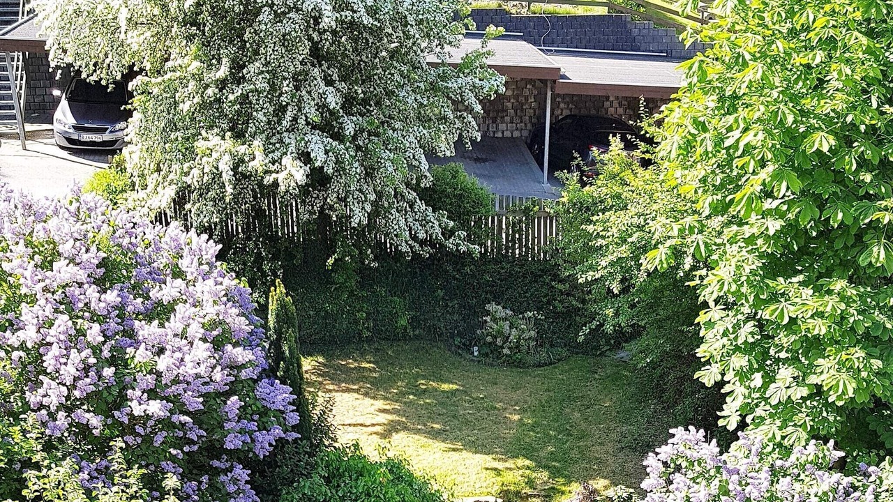 Photo of Others in Sønderborg