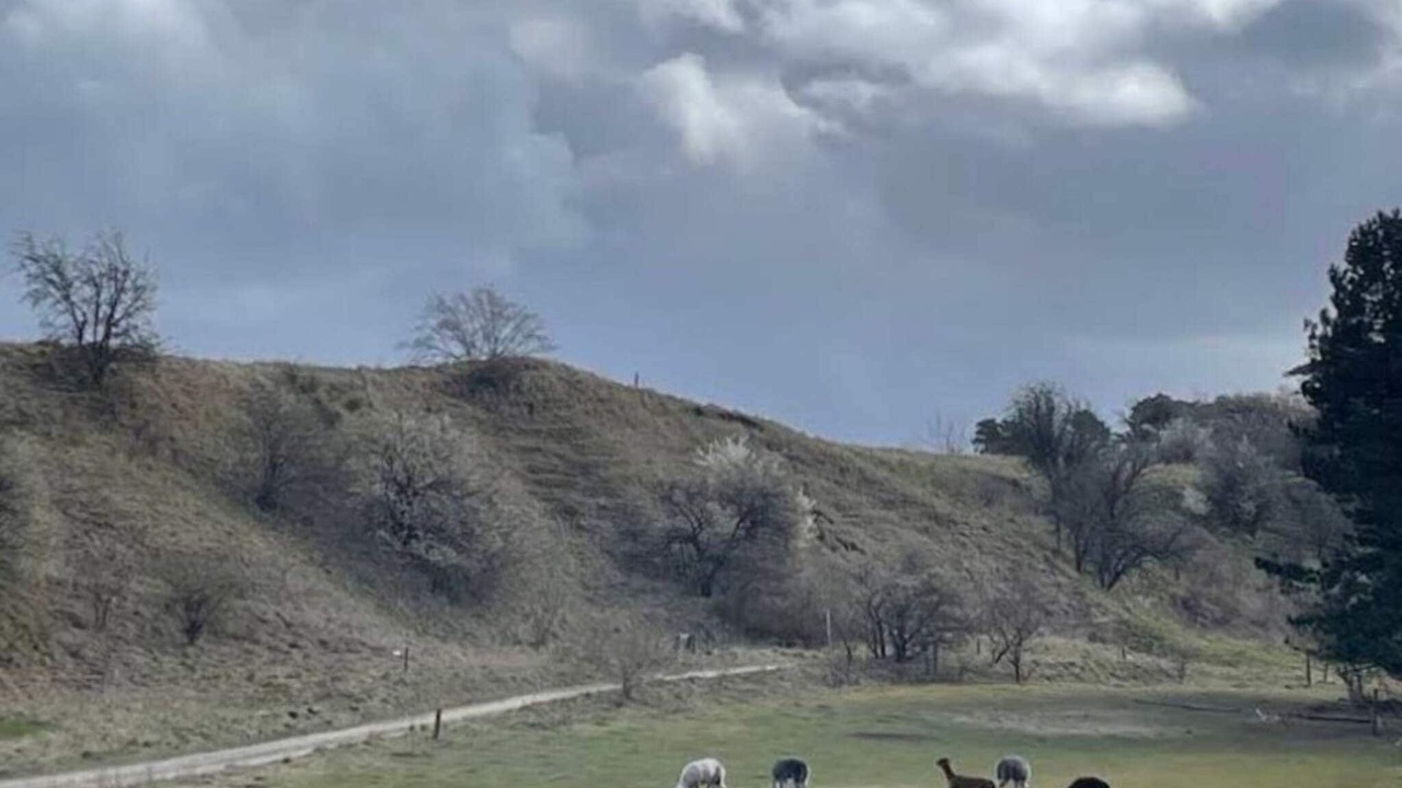 Photo of Others in Skibby