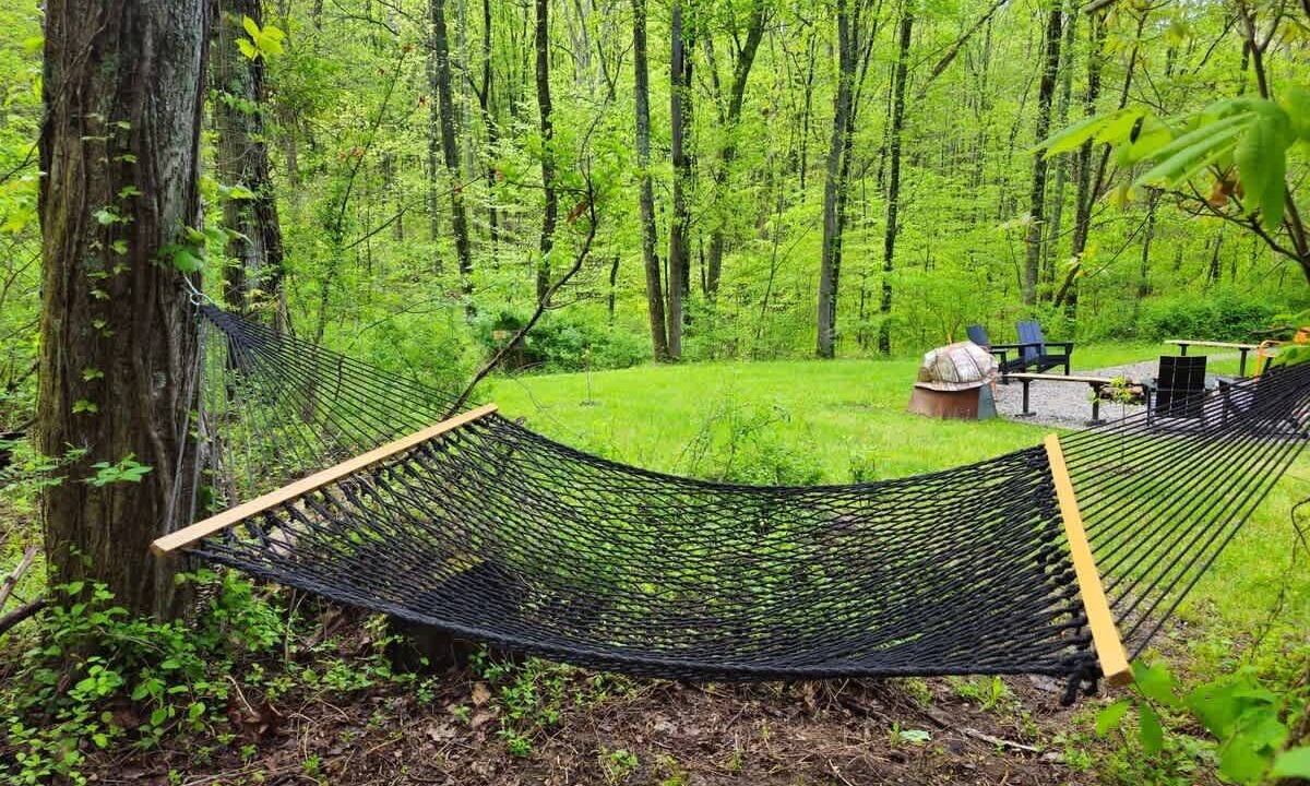 Photo of Others in Laurelville