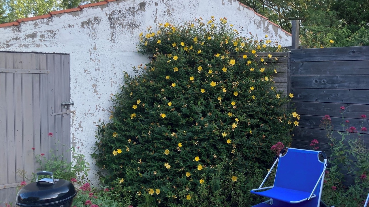 Photo of Outdoor in Sallertaine