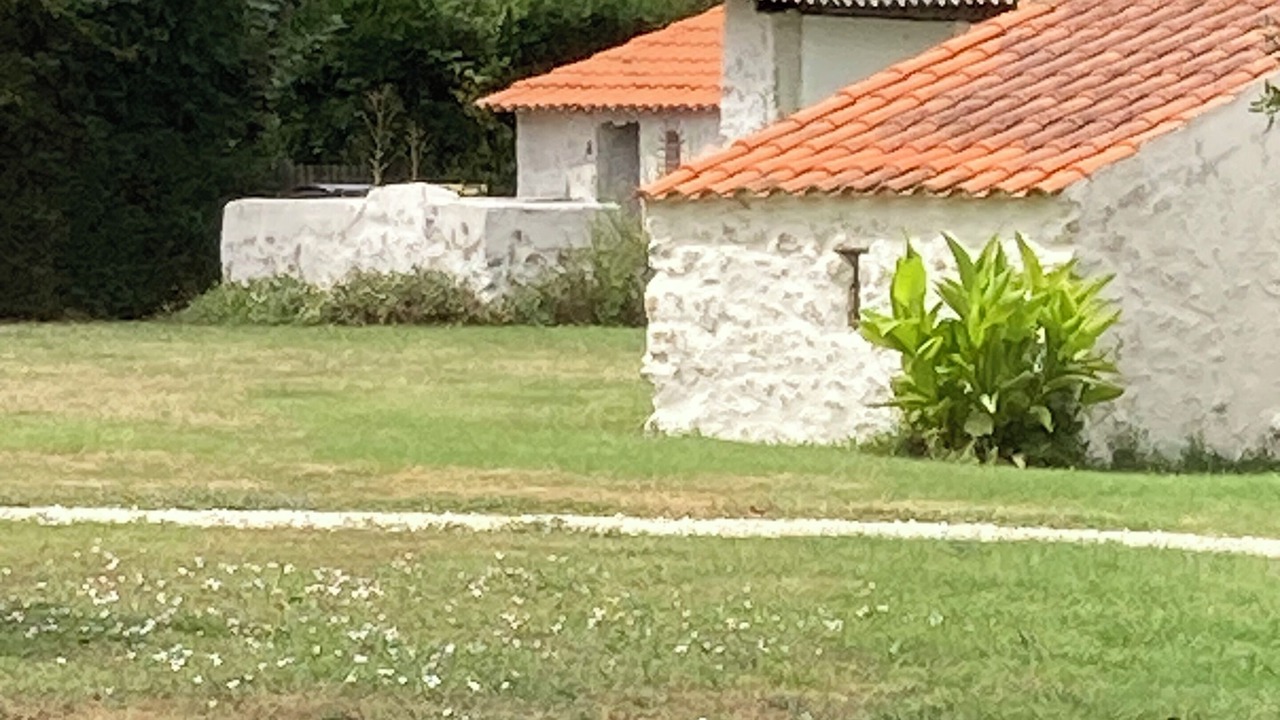 Photo of Outdoor in Sallertaine