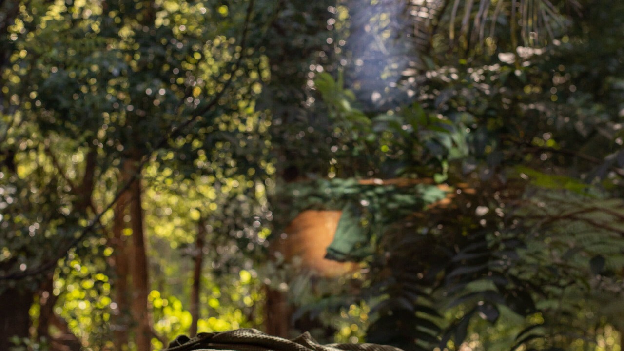 Photo of Others in Bangalow