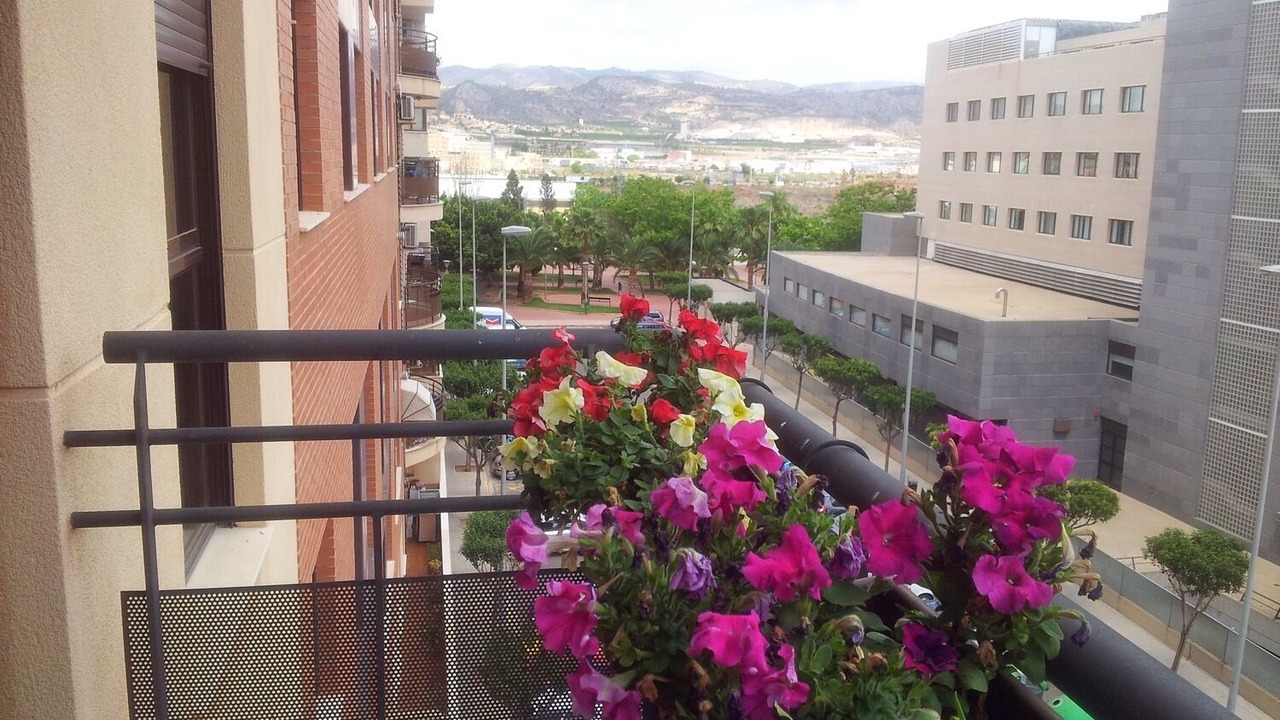 Photo of Outdoor in Castello de la Plana