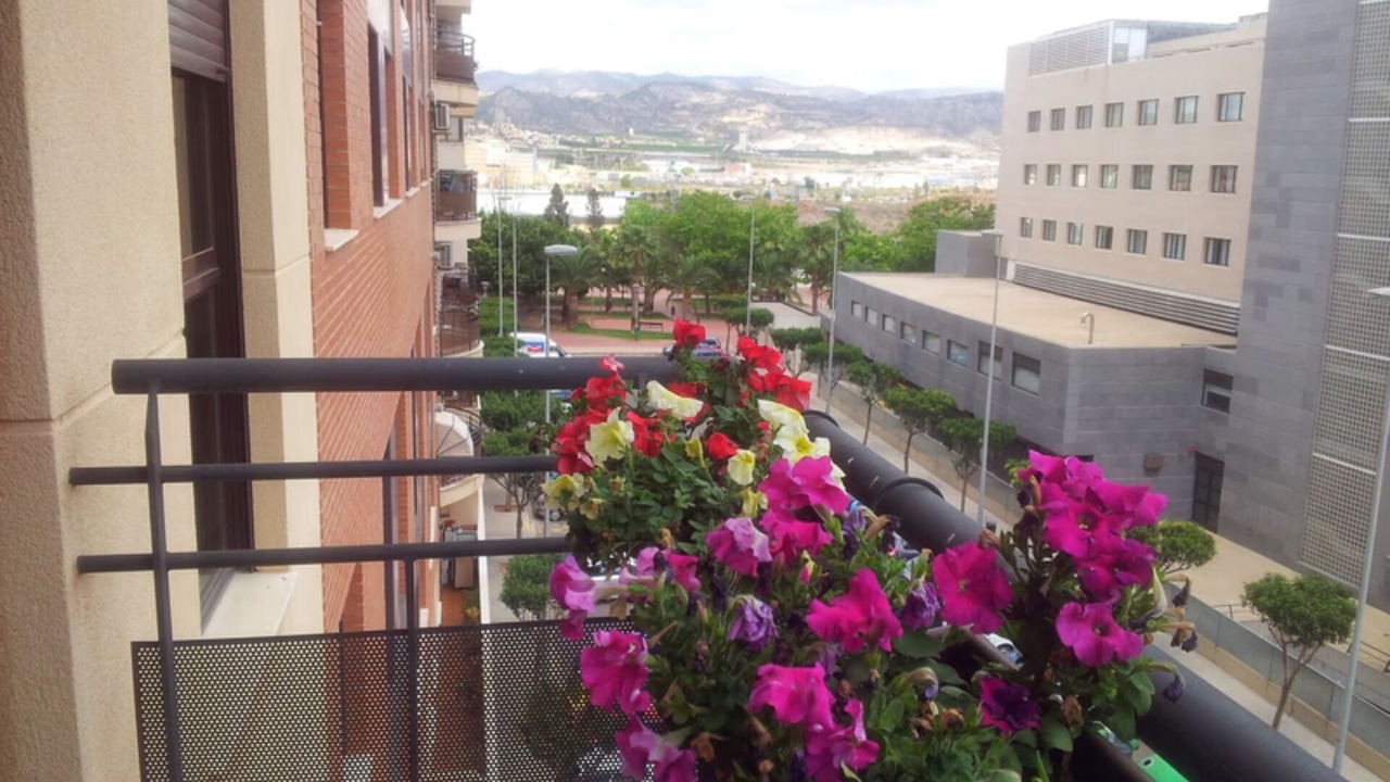 Photo of Outdoor in Castello de la Plana