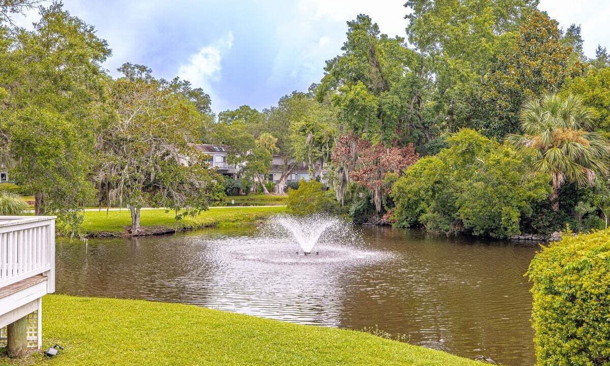 Photo of Outdoor in St. Simons Island