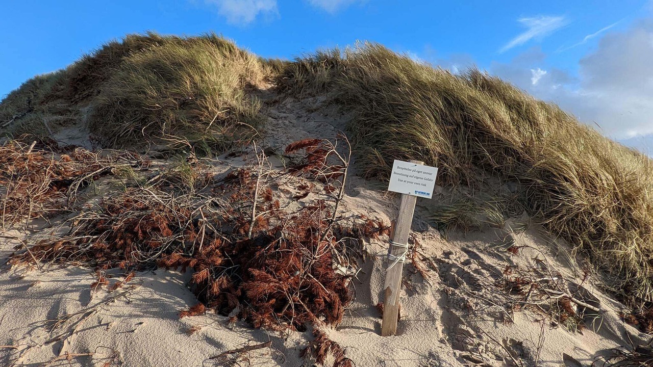 Photo of Others in Vedersø Klit