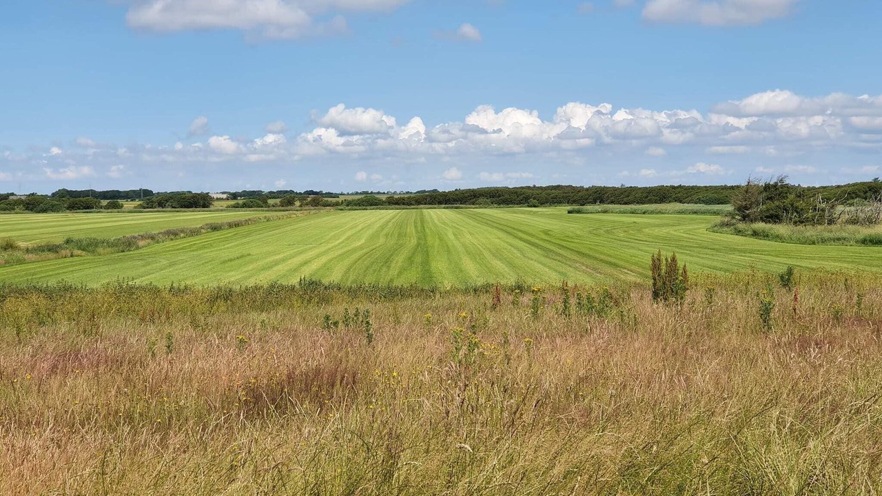 Photo of Others in Vedersø Klit