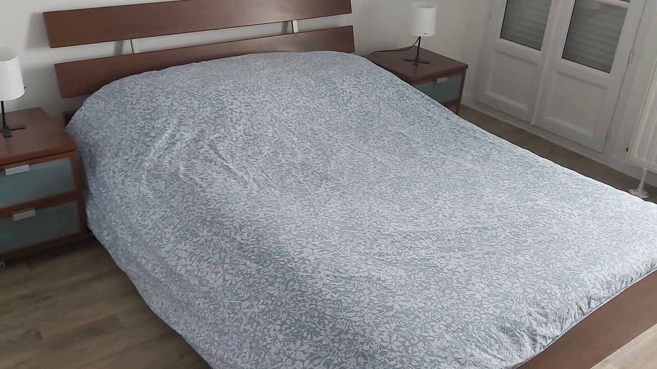 Photo of Bedroom in Serris