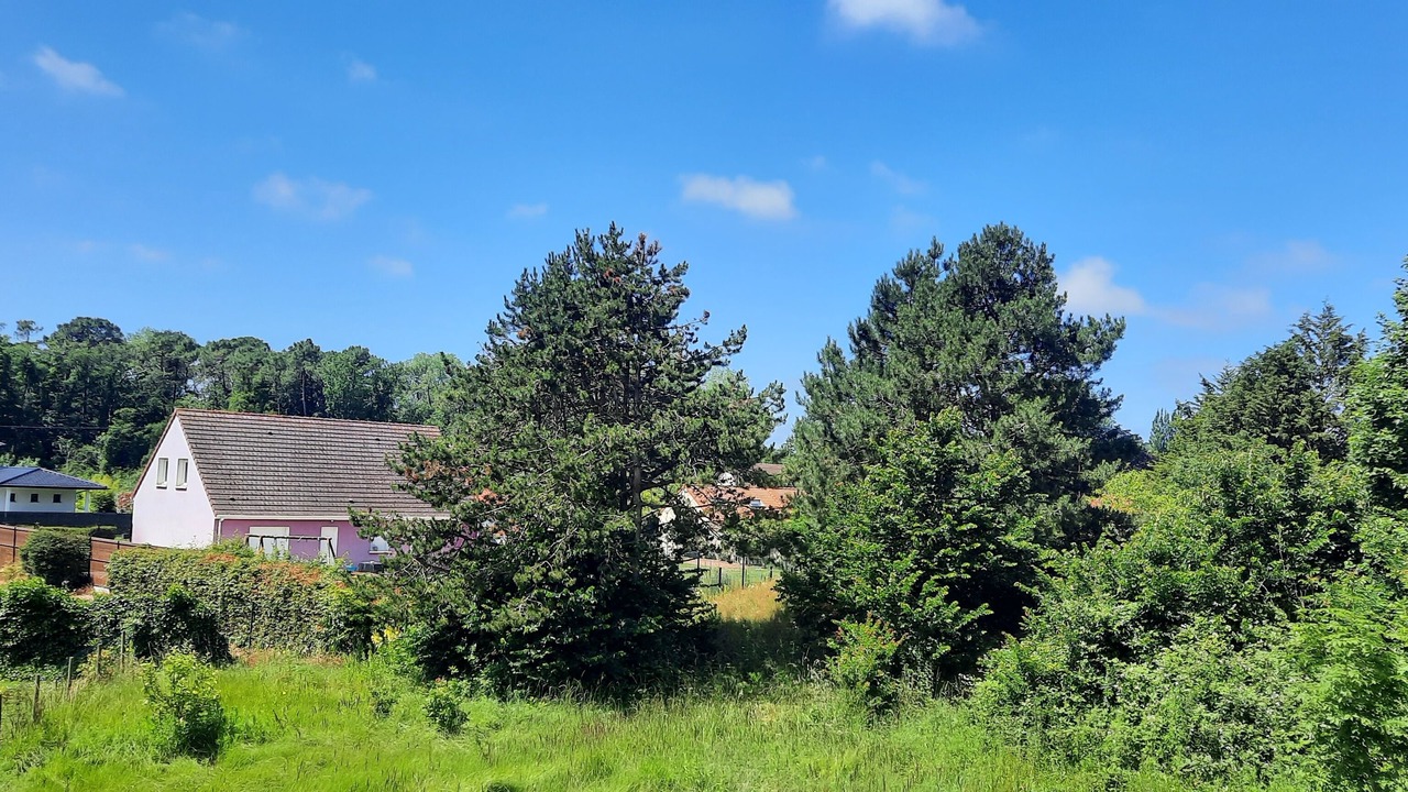 Photo of Outdoor in Cucq