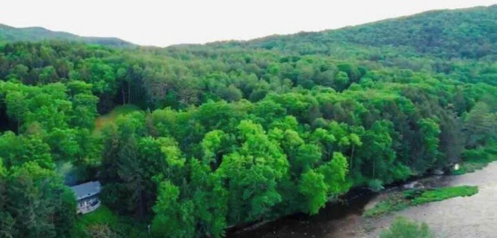 Photo of Others in East Jamaica