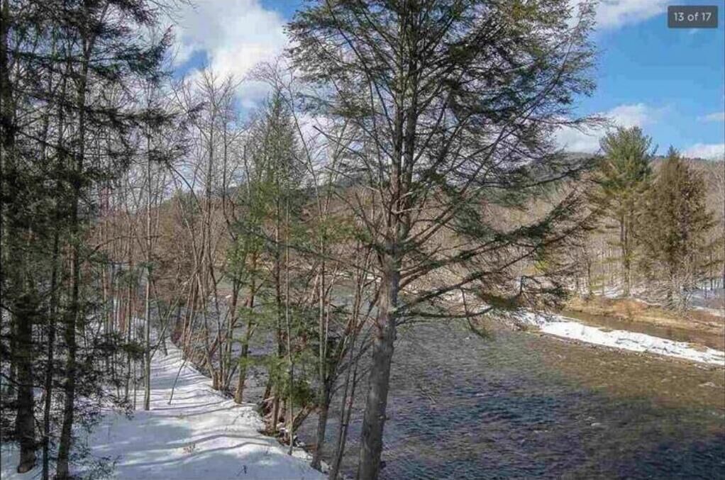 Photo of Outdoor in East Jamaica