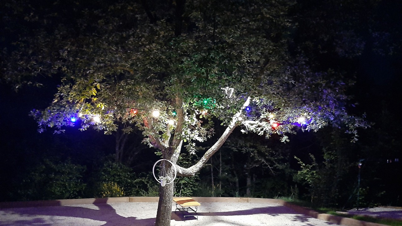 Photo of Outdoor in Dauphin