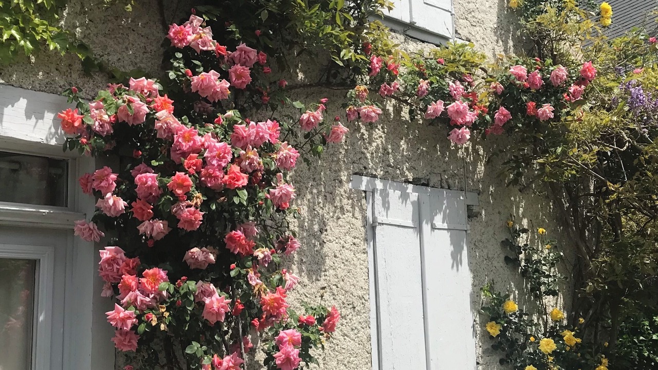 Photo of Outdoor in Villeneuve