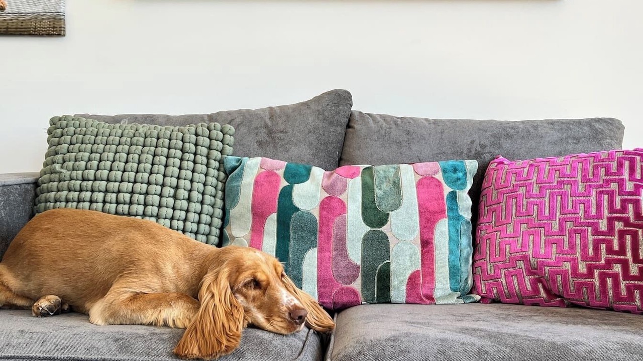 Photo of Outdoor in Frognall