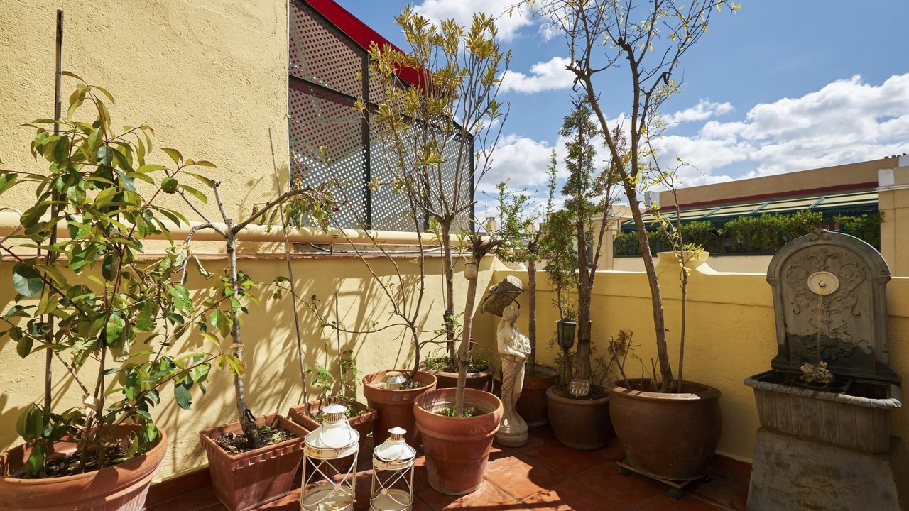 Photo of Outdoor in Milla de Oro