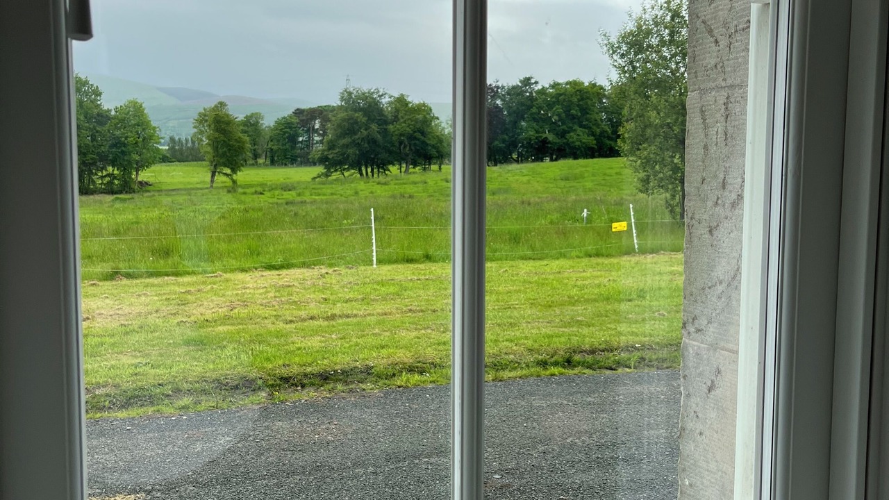 Photo of Others in Dollar