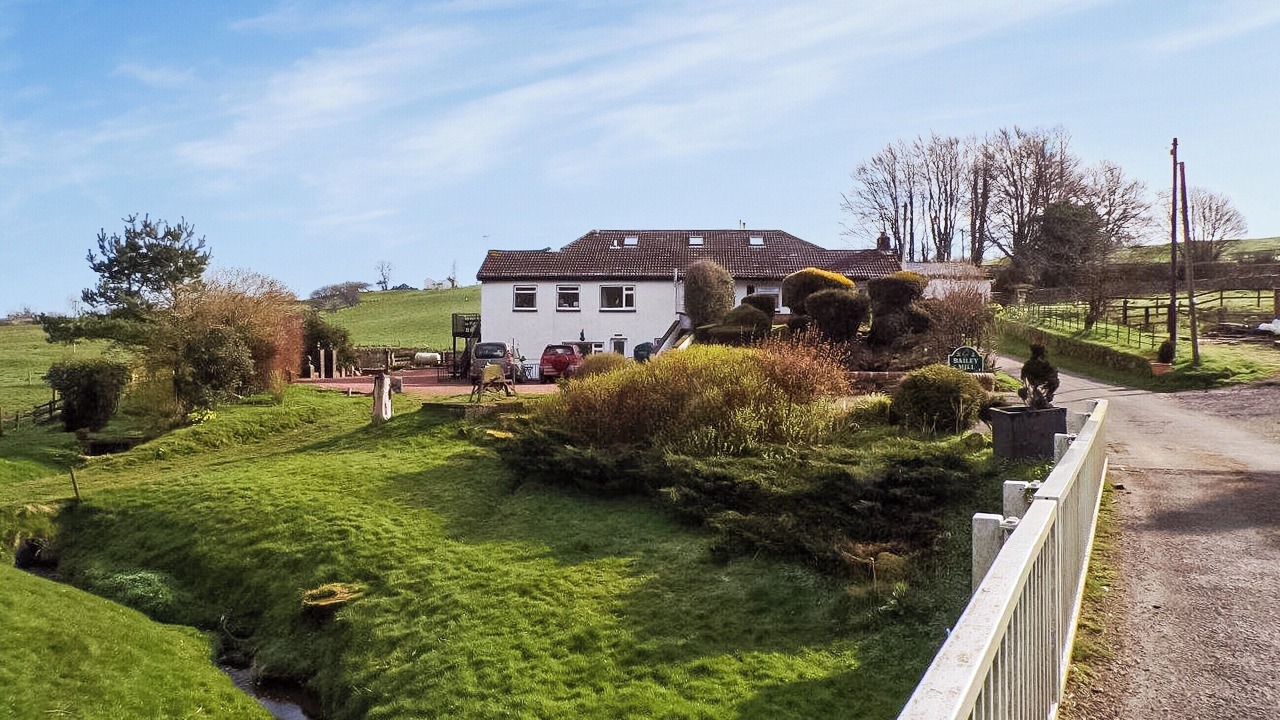 Photo of Others in Wing