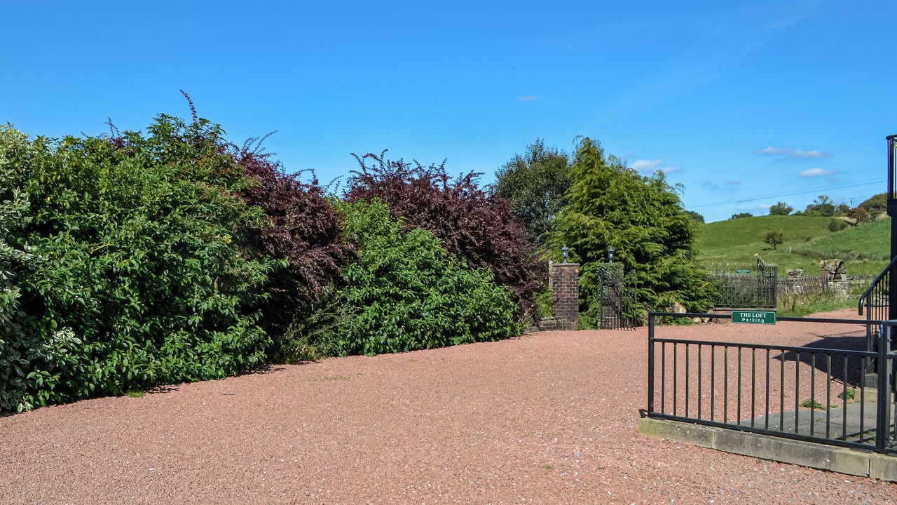 Photo of Outdoor in Wing