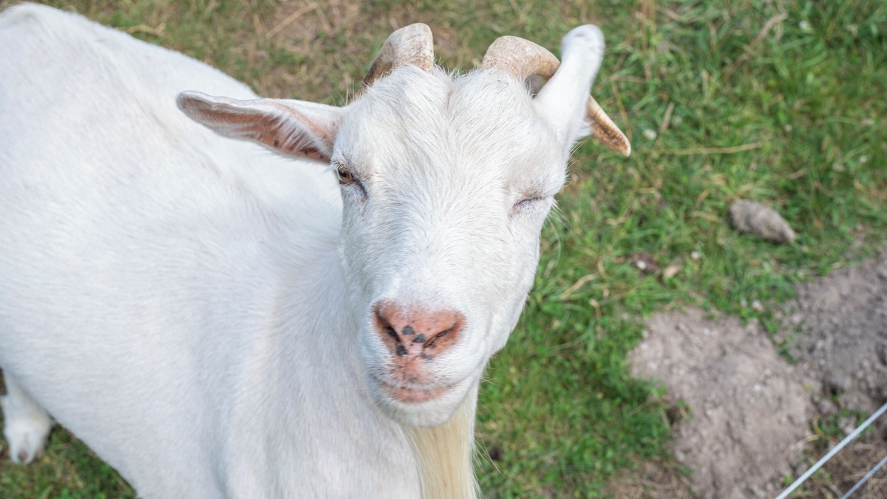 Photo of Others in Continvoir