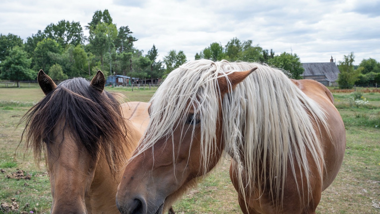 Photo of Others in Continvoir