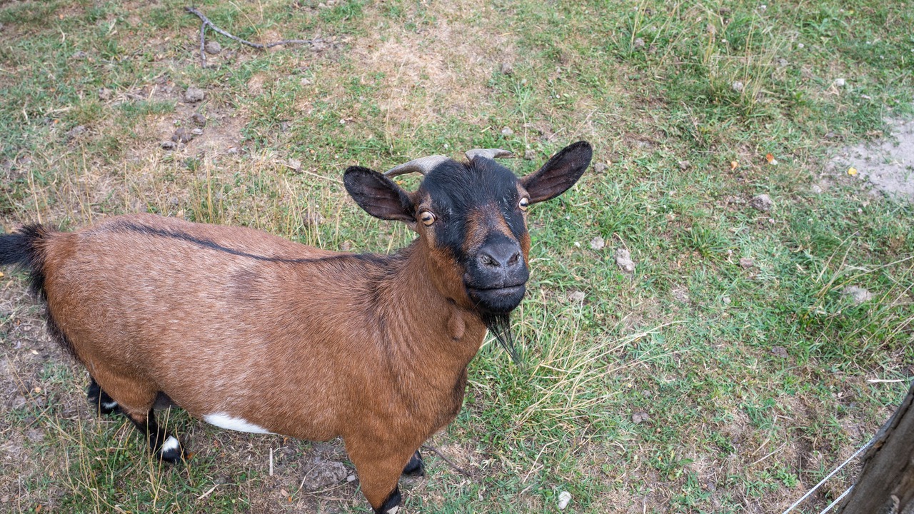 Photo of Others in Continvoir