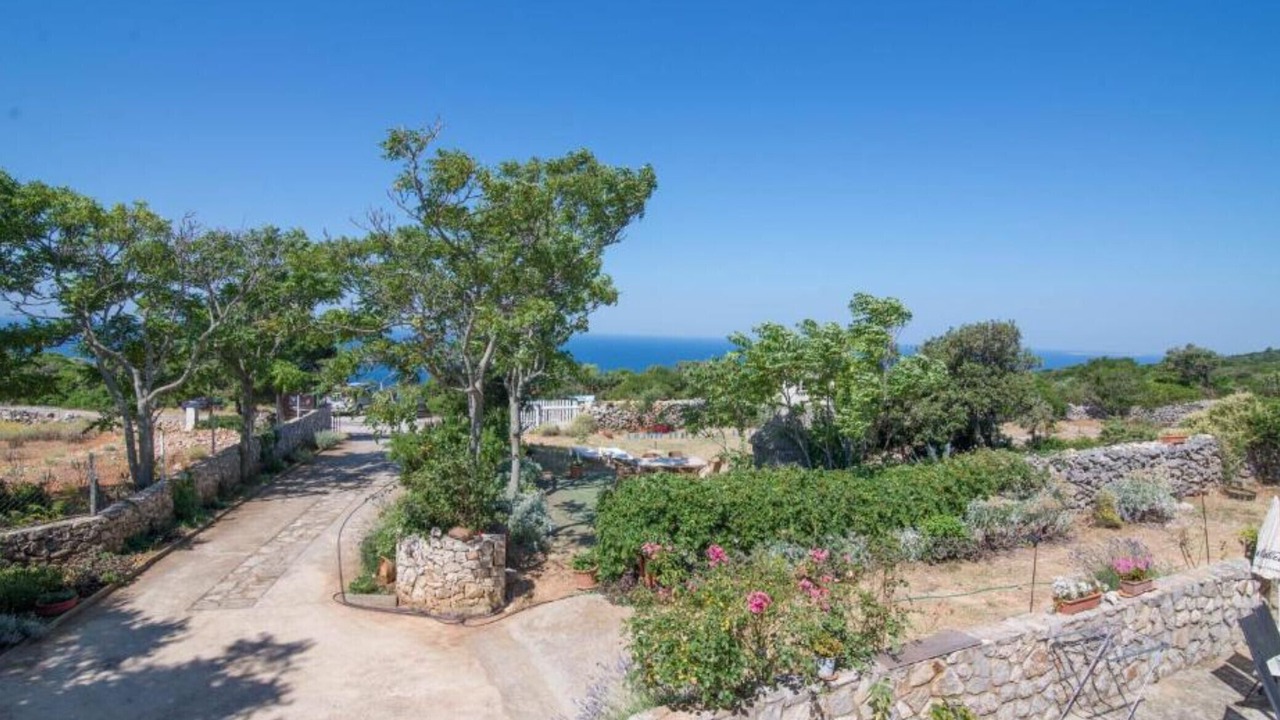 Photo of Outdoor in Veli Losinj
