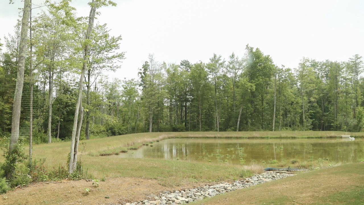 Photo of Outdoor in Milroy