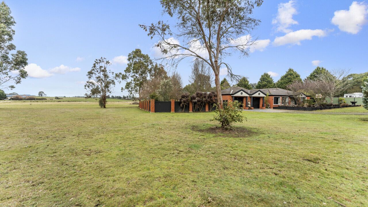 Photo of Outdoor in Magpie