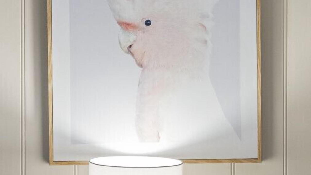 Photo of Others in Magpie