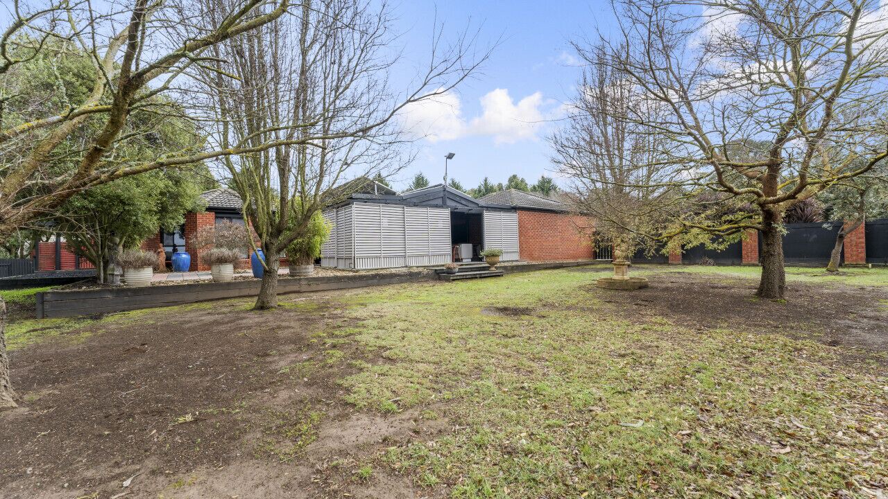 Photo of Outdoor in Magpie