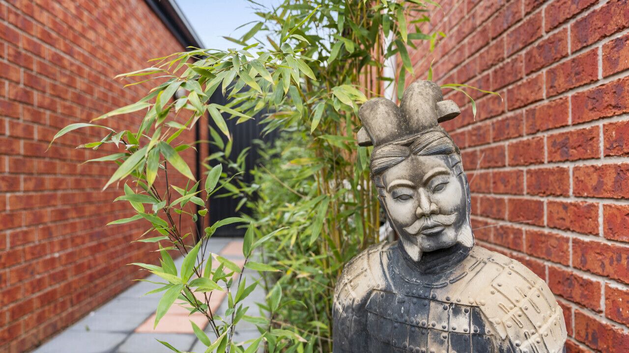 Photo of Outdoor in Magpie