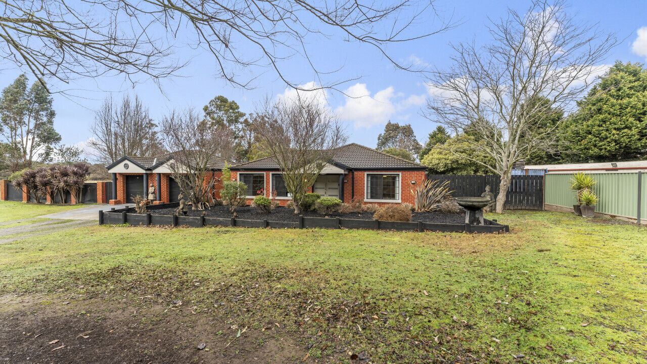 Photo of Outdoor in Magpie