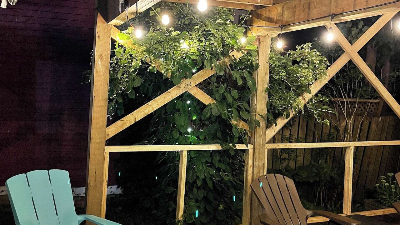 Photo of Patio Balcony in Downtown St. John's