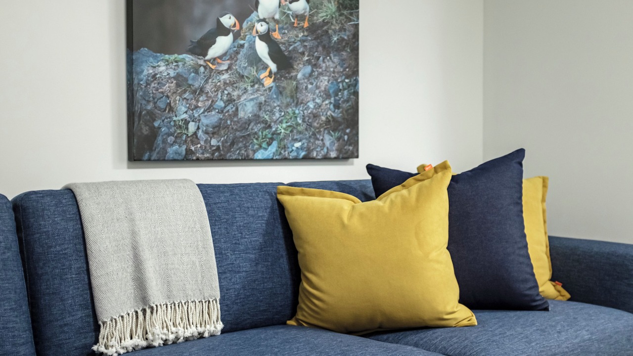 Photo of Livingroom in Downtown St. John's