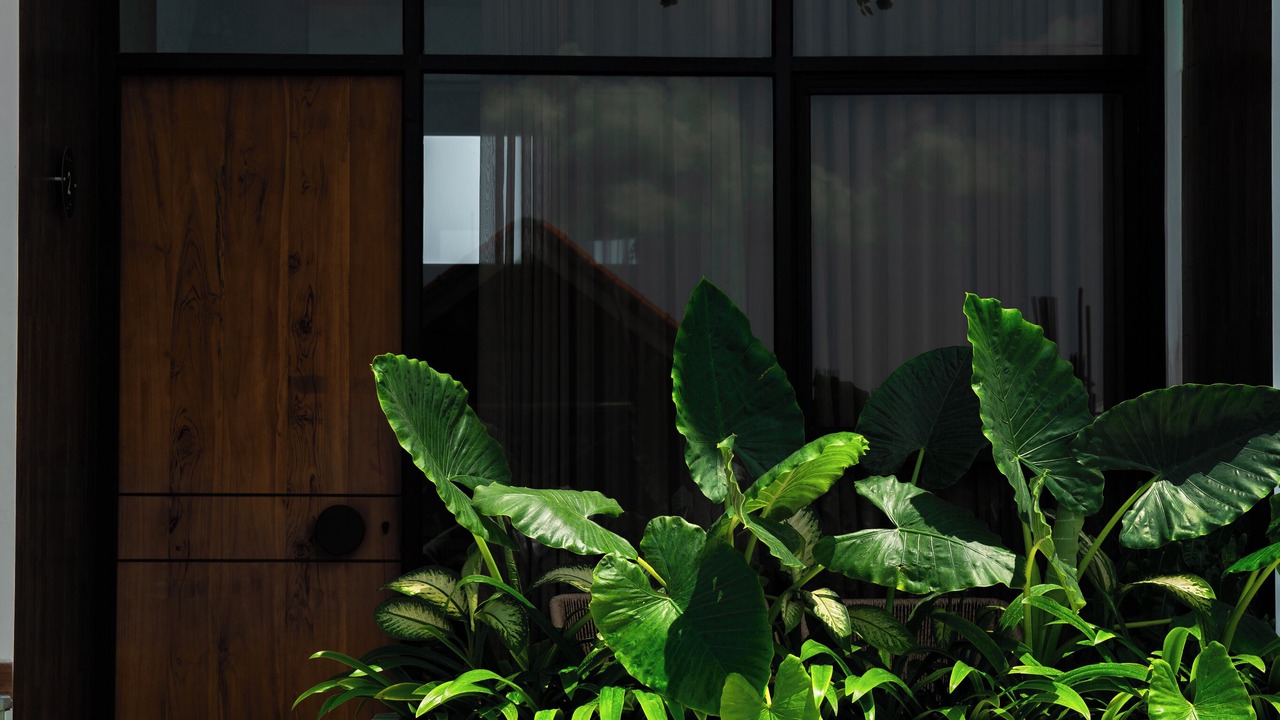 Photo of Outdoor in Batu Bolong