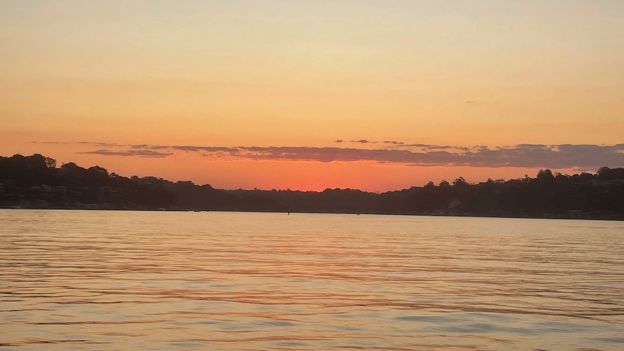 Photo of Others in Sylvania