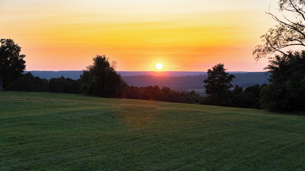 Photo of Others in Town of Sempronius