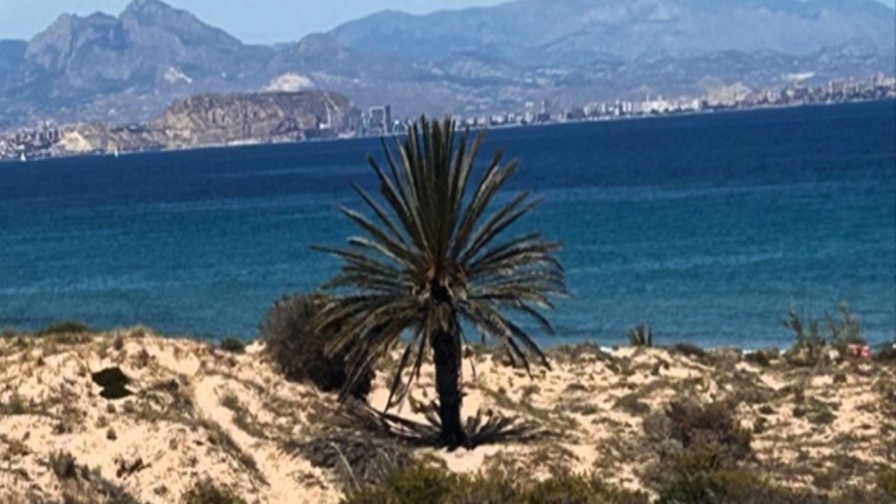 Photo of Others in Monte Faro