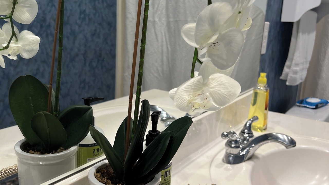 Photo of Bathroom in Friendswood