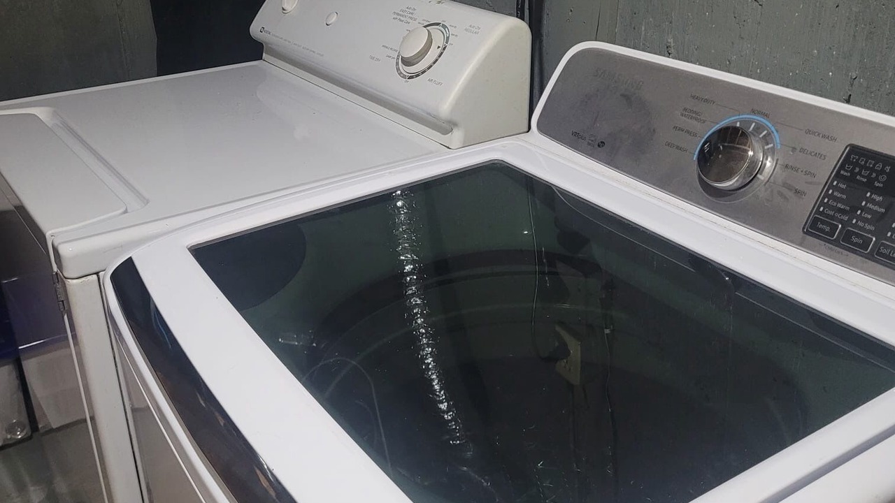 Photo of Others in Calgary