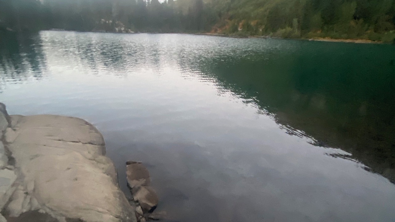 Photo of Others in Rainier