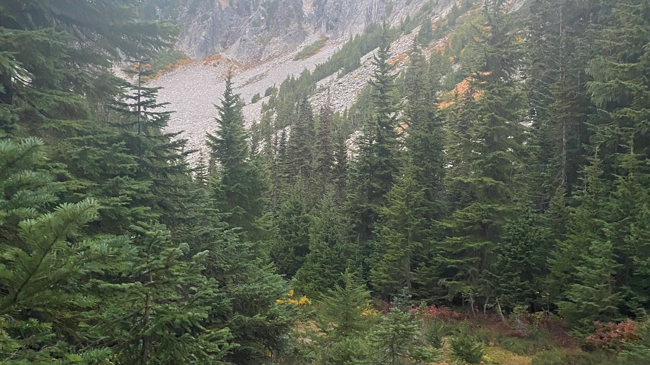 Photo of Others in Rainier