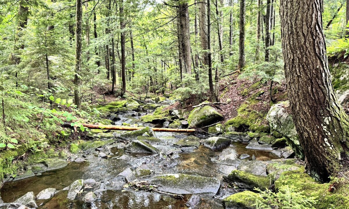 Photo of Others in Wilmington