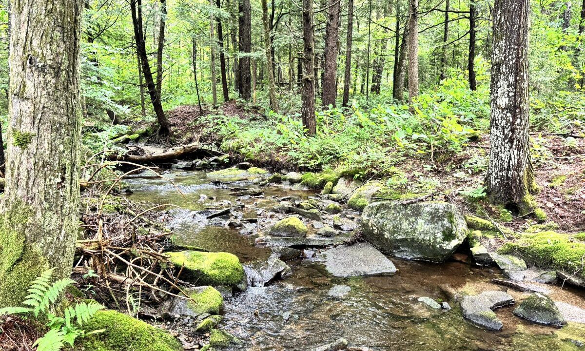 Photo of Others in Wilmington