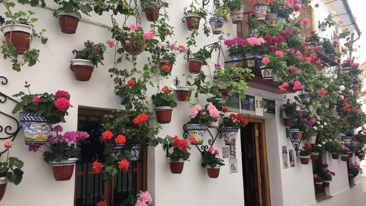 Photo of Outdoor in Poniente-Sur