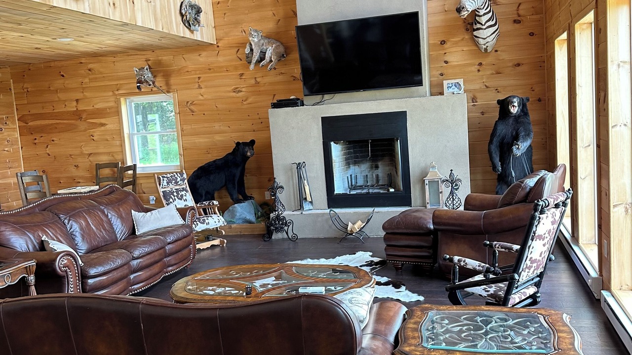 Photo of Livingroom in East Meredith